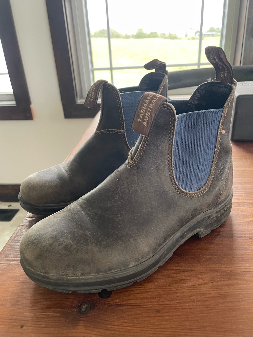 Blundstone Men’s Chukka Boots in Dark Brown with Blue Elastic